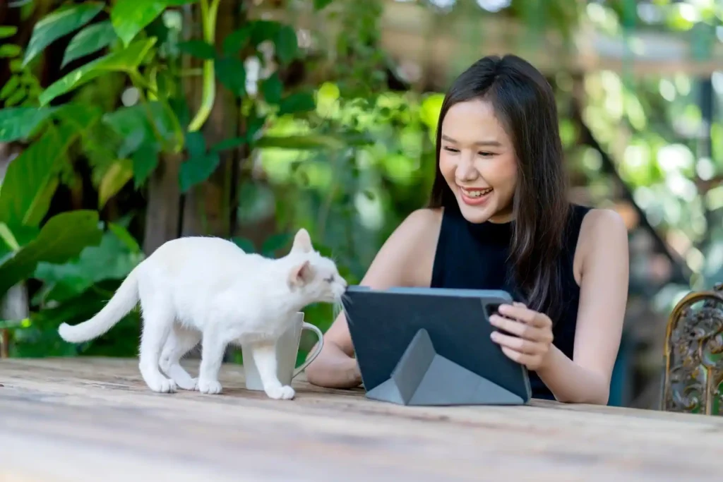 How AI-Powered Cat Training Works